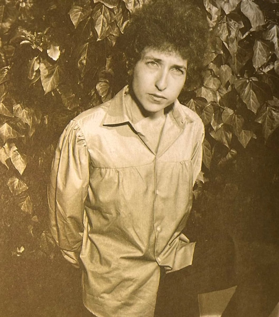 helen 🪻 tweet media