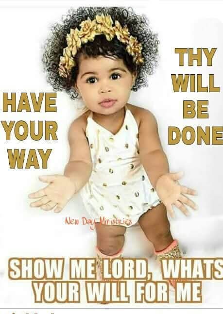 Holly A Howse tweet media