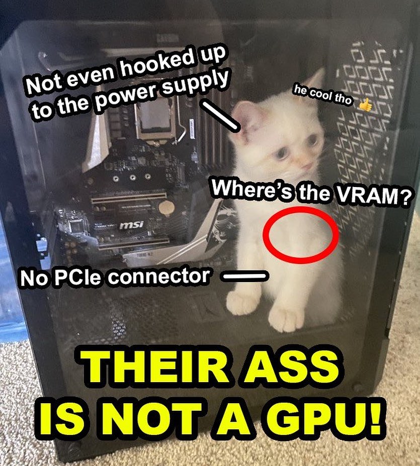 Punch Cat tweet media