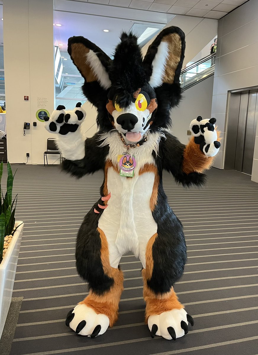 Delirious @ FE’26 tweet media