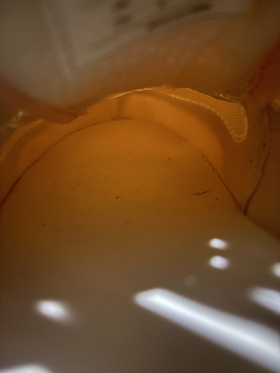 Trixiebee_dirtysocks 4.99$ OF tweet media