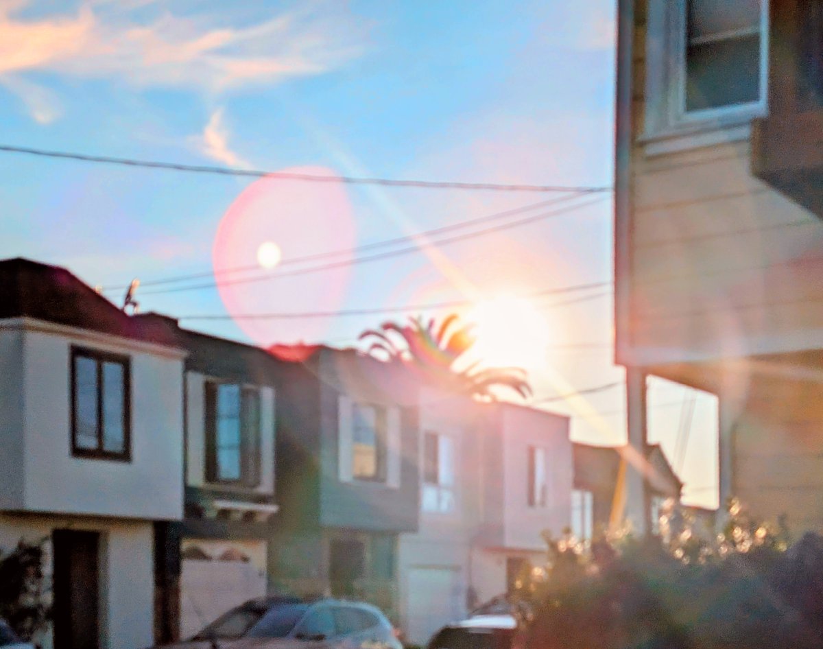 Gnostrils tweet media