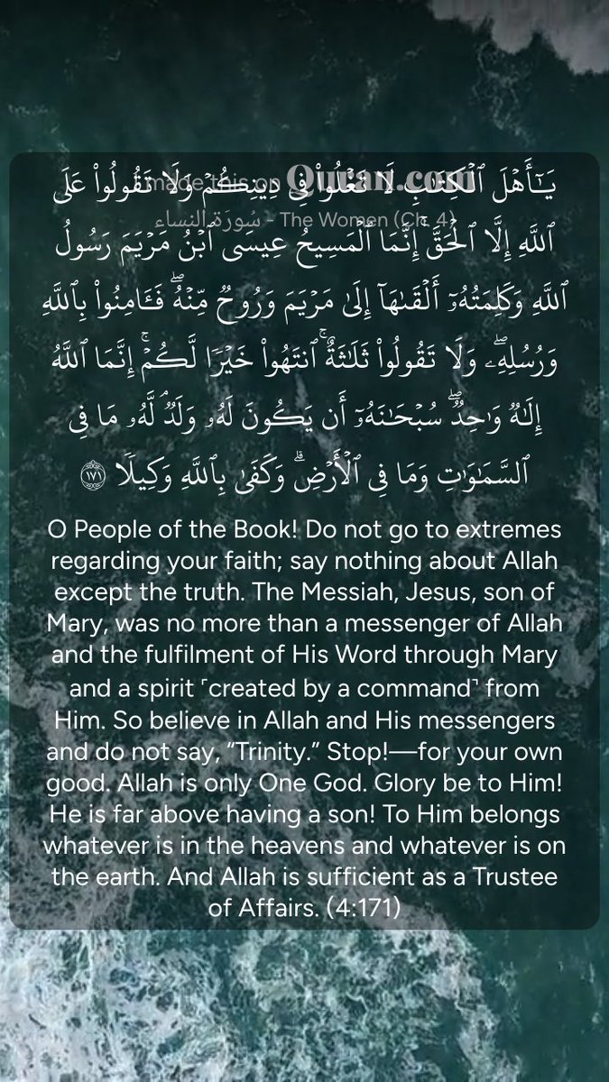 محمد علي tweet media