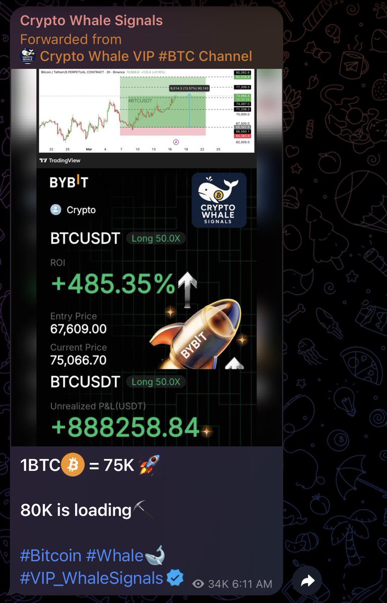 BitWhaleTrader tweet media