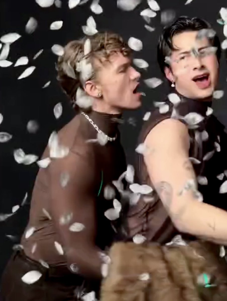 just absolutely fucking insane