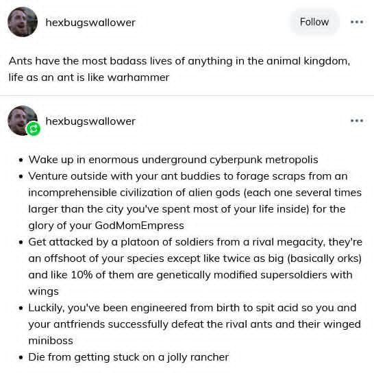 Peter Mitchell tweet media