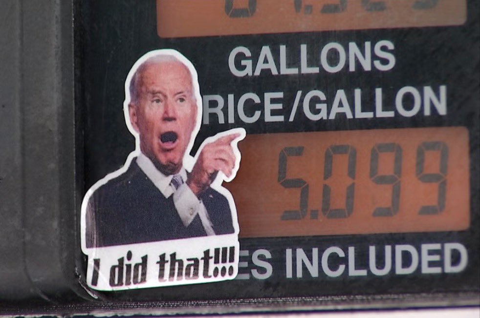 Braden Shamo tweet media