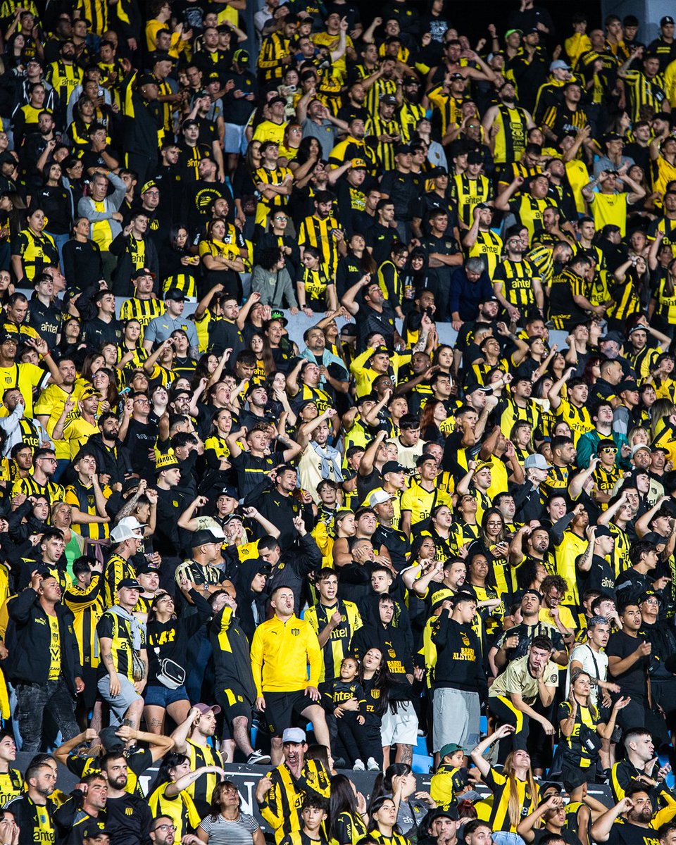 padreydecano.com tweet media