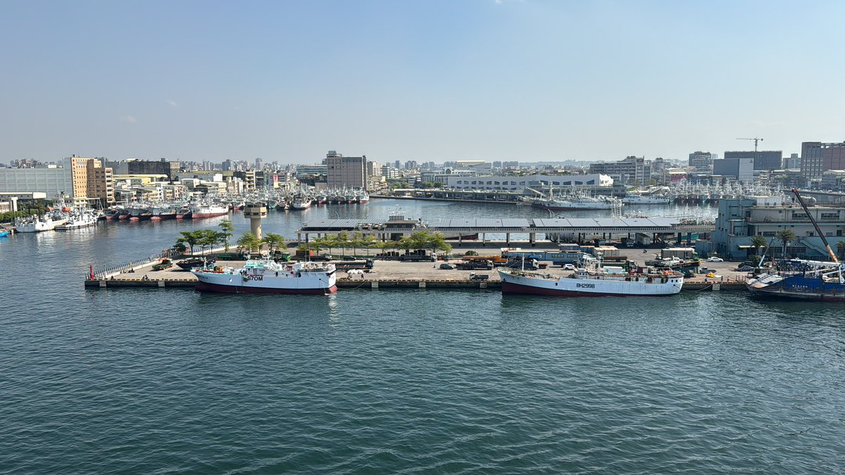 哈巴狗喵喵 tweet media