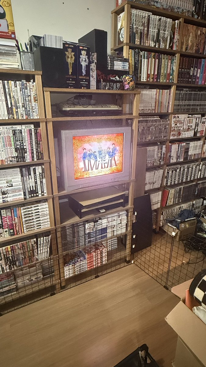 Sim, agora tenho um canto pra ver anime antigo na TV de tubo.