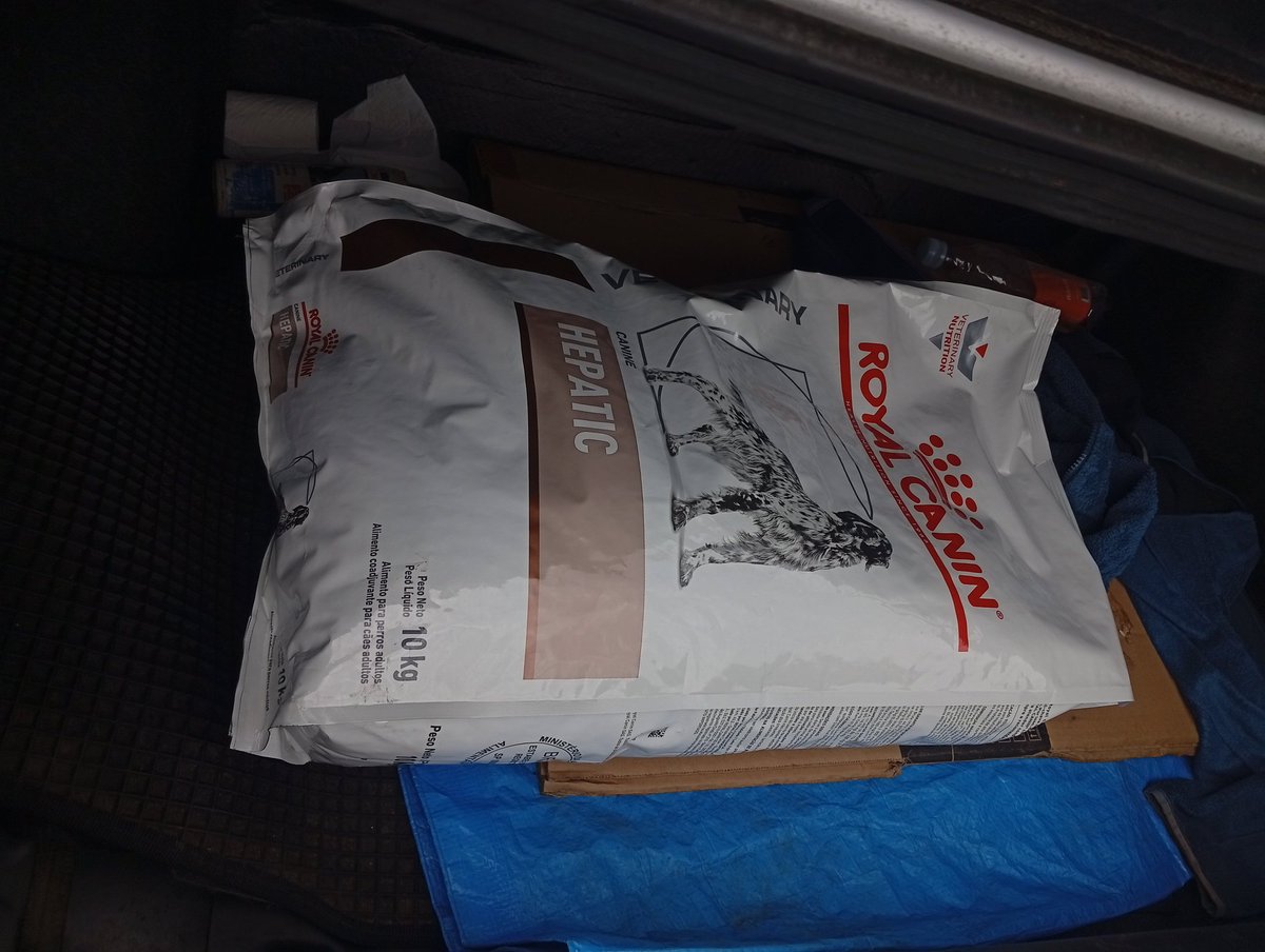 Agrammarvr. (Sumiso de Lei) tweet media