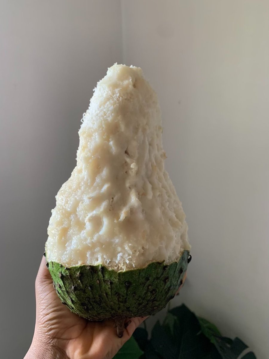 日本の皆さんへ🇯🇵
ナイジェリアで人気のフルーツを紹介したいと思います 😄
これはサワーソップ（Soursop）です 🍈
ジューシーで甘酸っぱく、とてもさっぱりしています。
栄養も満点！ビタミンCや食物繊維が豊富で、体にもとても良いです💪