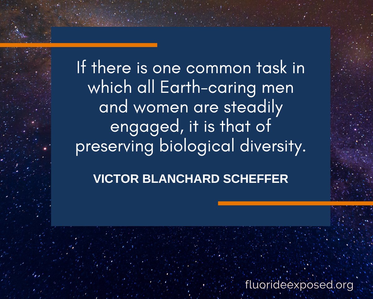 Fluoride Exposed tweet media