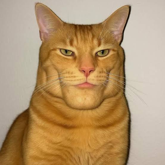 José ٭ BananaJNR tweet media