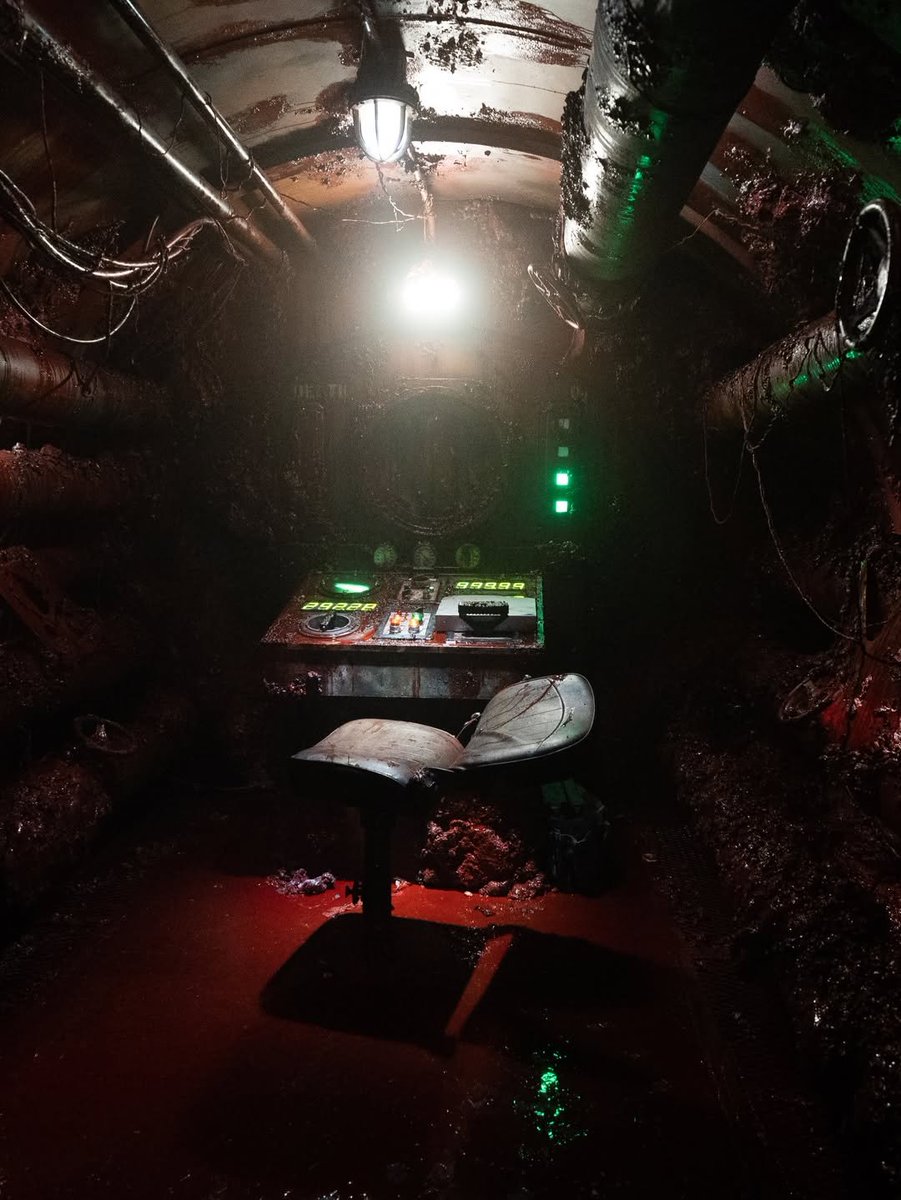 ⊹ ࣪ ˖ 🍓Helena 🫁 ˙⟡ ⭑.ᐟ IRON LUNG ERA tweet media