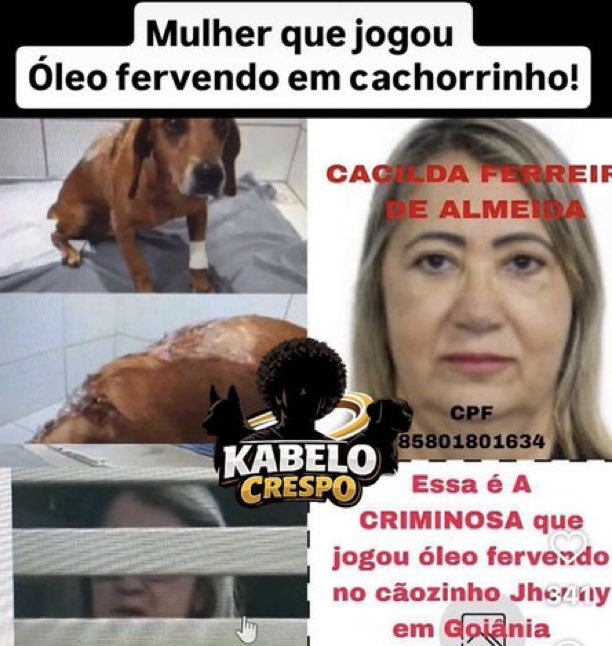 EspacoBrasil_BR's tweet photo. Essa é a acusada de jogar óleo quente no cachorro Johnny! Vamos cobrar a abrir B.O na Delegacia Eletrônica de GO. 

Justiça Por Johnny! https://t.co/1AXeiUdHHd