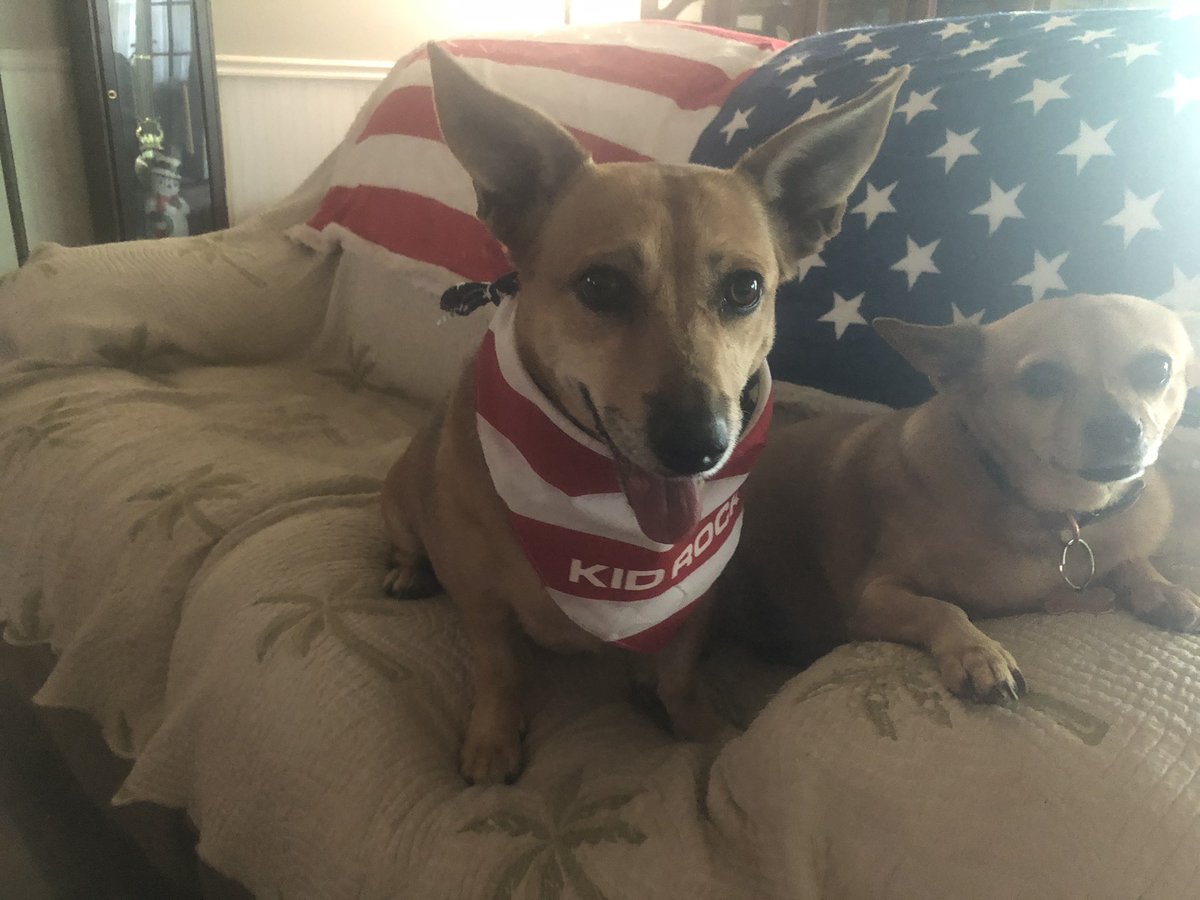 Arizona Guy One tweet media