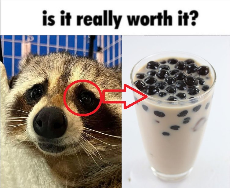 Why you should have a Raccoon tweet media