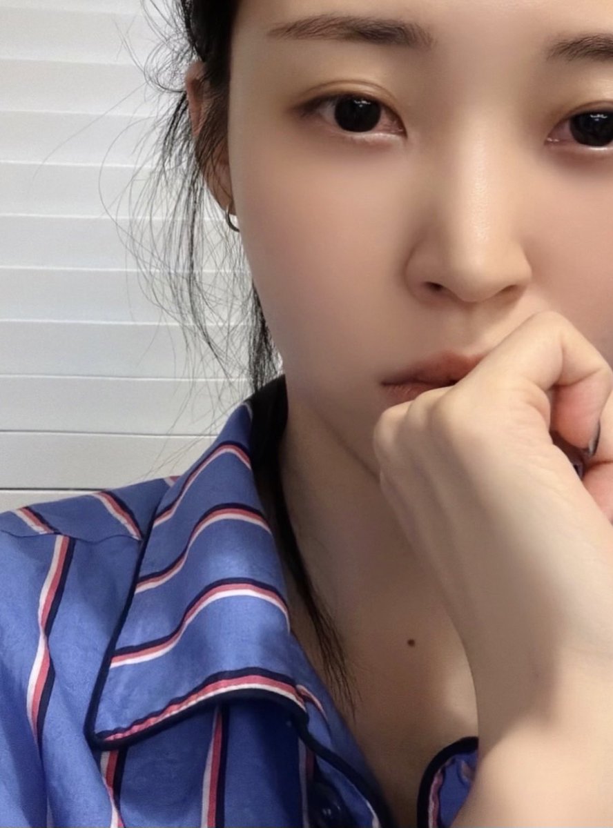 for 🐹 tweet media