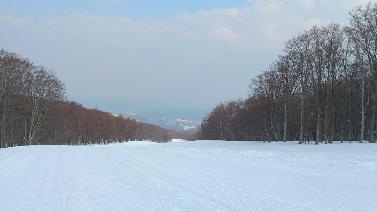 青森スプリング・スキーリゾート tweet media