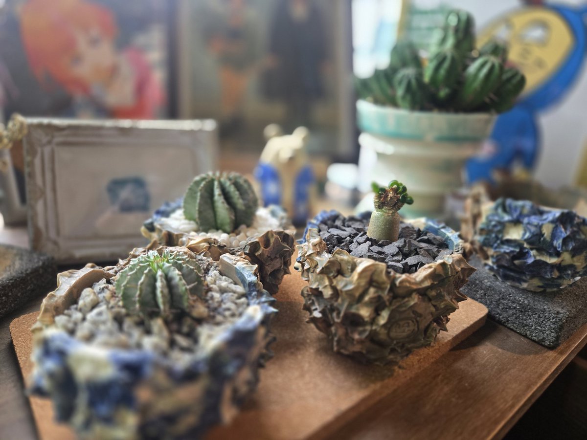 トニーver.カブトニー tweet media