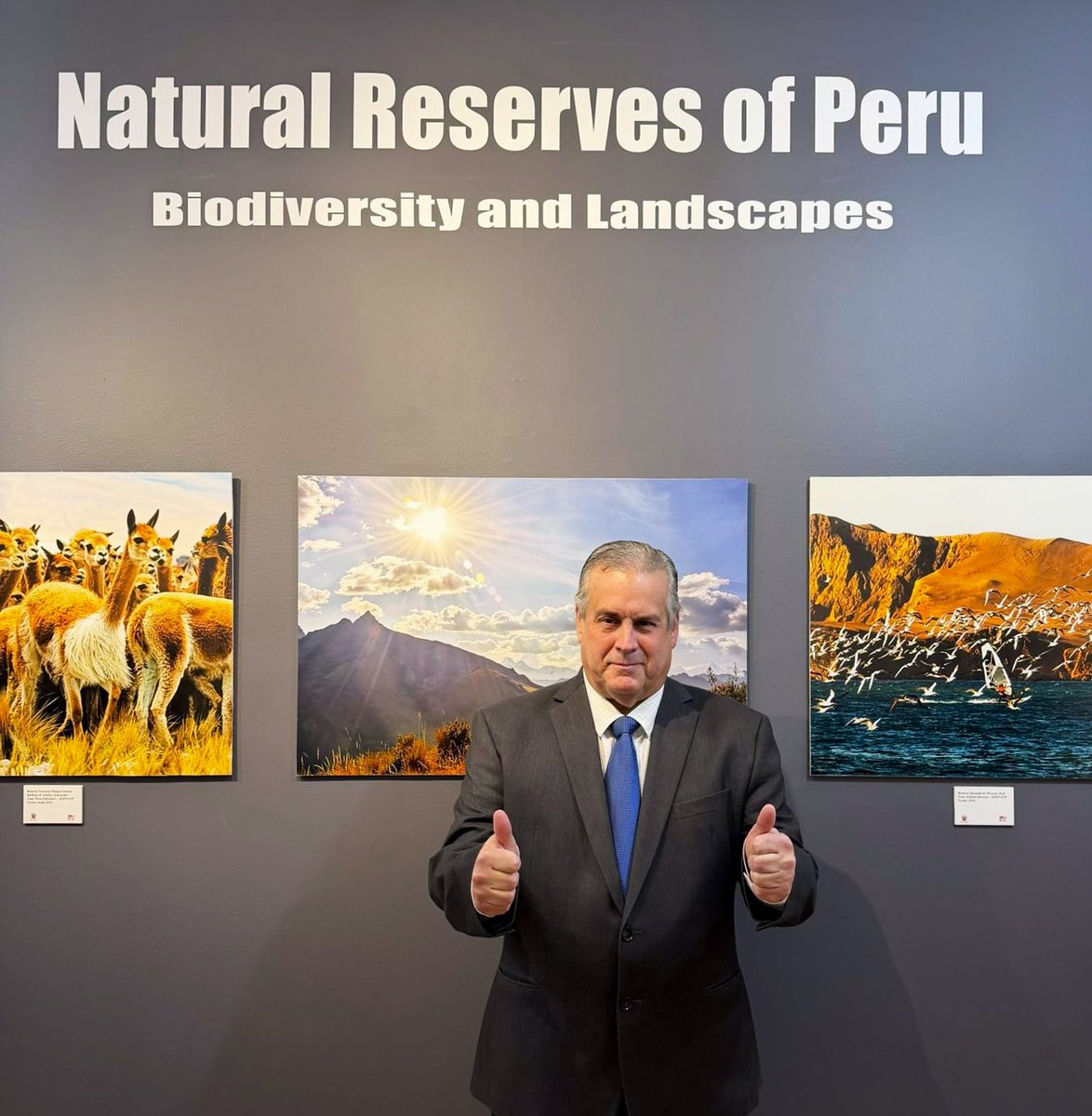 Embassy of Peru in the US tweet media