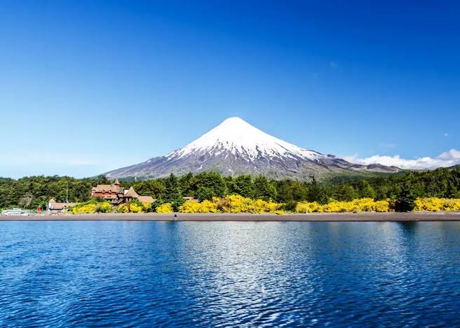 Alan Skarbnik tweet media