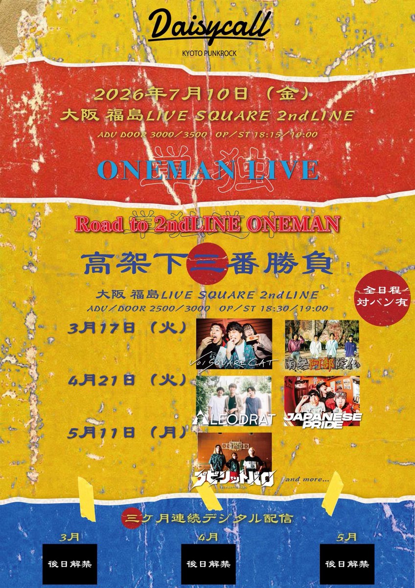 VOI SQUARE CAT tweet media