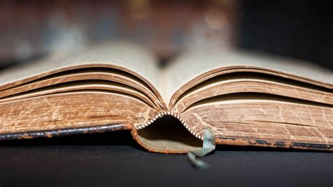 Urban_Tree✝️🍃 tweet media