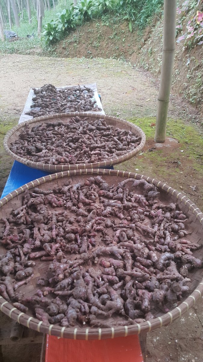 Gembira Tani tweet media