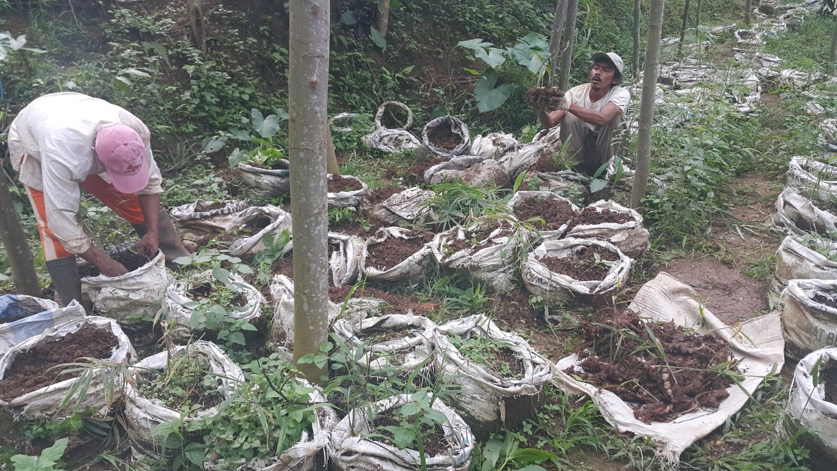 Gembira Tani tweet media