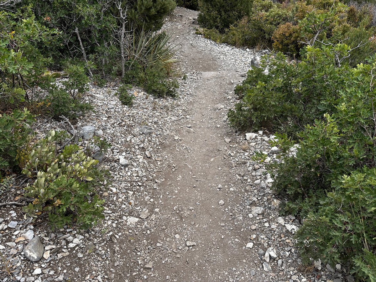 Don Shift (buy my books) tweet media