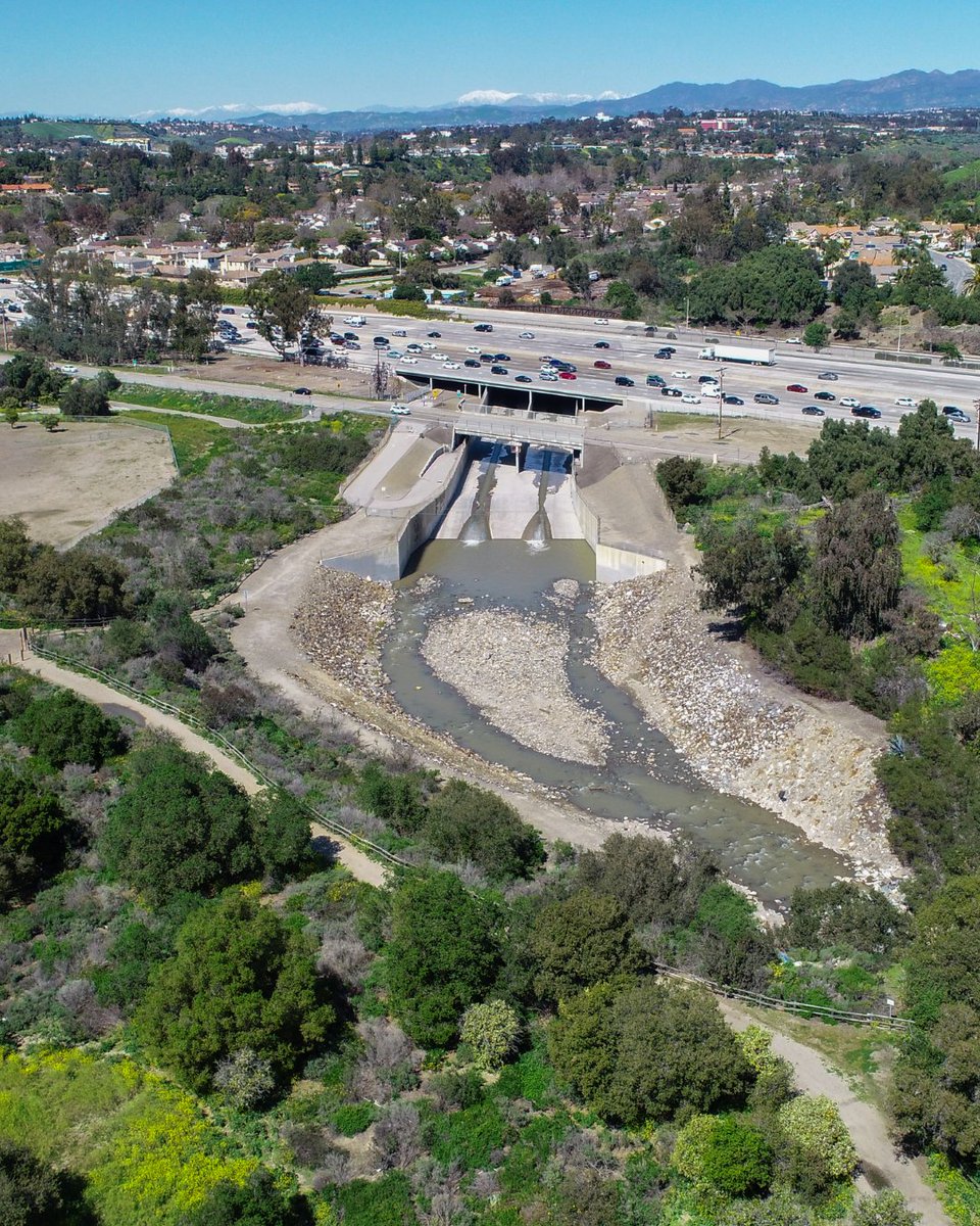 California Trout tweet media