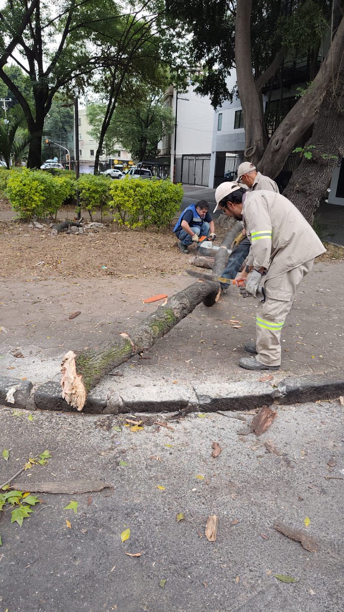 Secretaría de Gestión Integral de Riesgos y PC tweet media