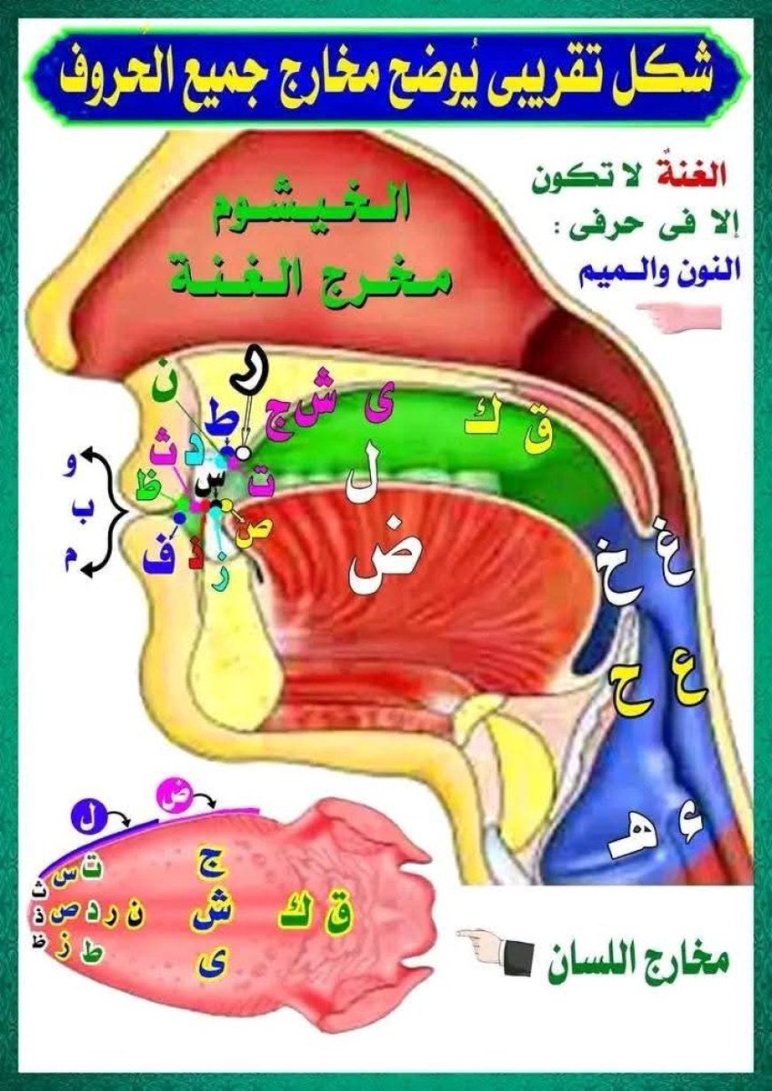 Sali Al-harbi | سالي الحربي🇸🇦🇸🇾 tweet media