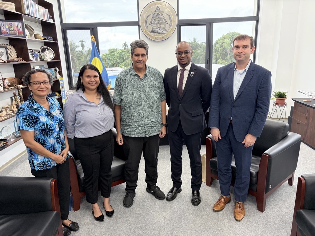 UN in Micronesia tweet media