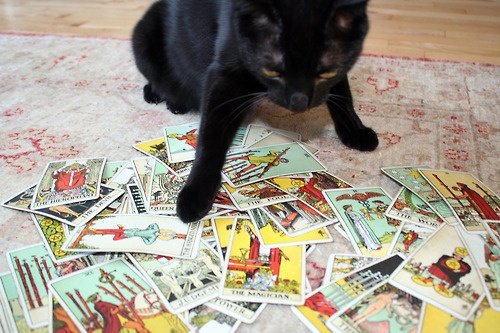 morita | agenda abierta★ tweet media