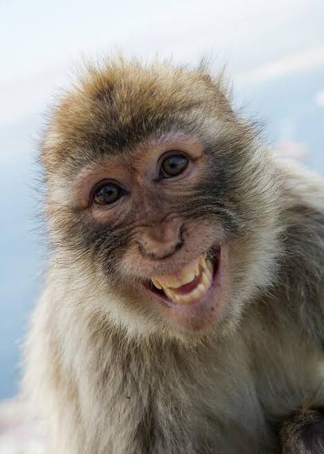 dxrnelljcl tweet media