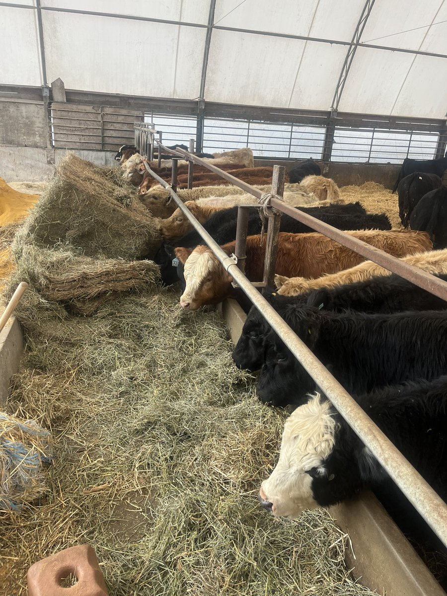 Keith Wells tweet media