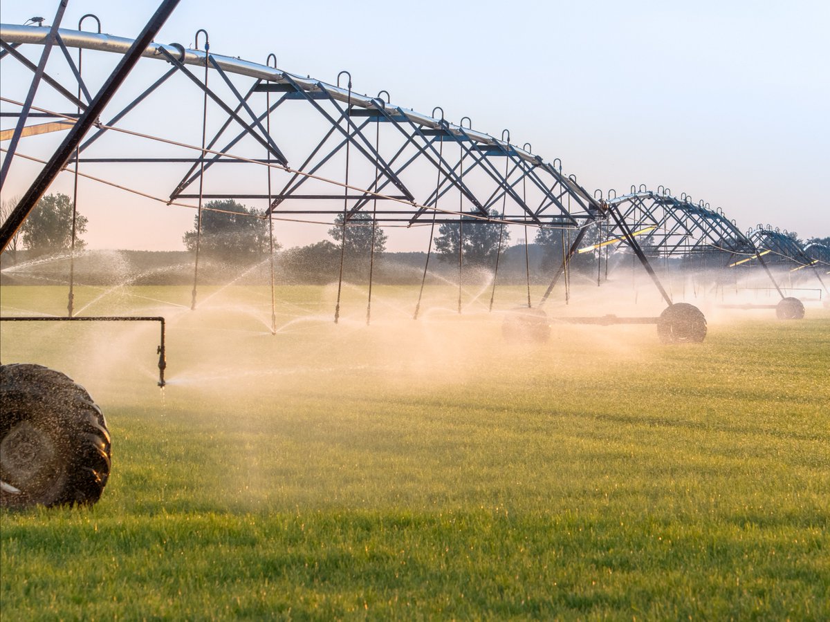 K-State Extension tweet media