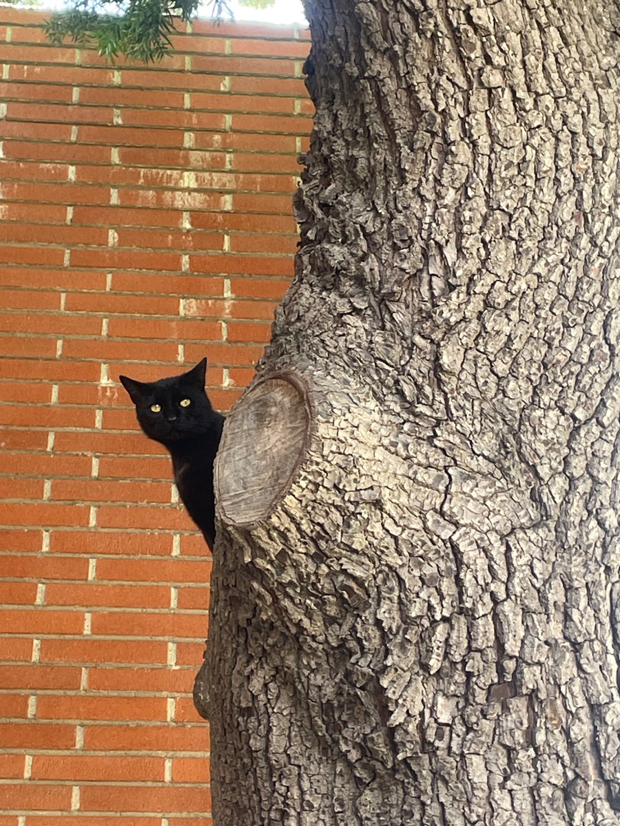 eccunionErica tweet media