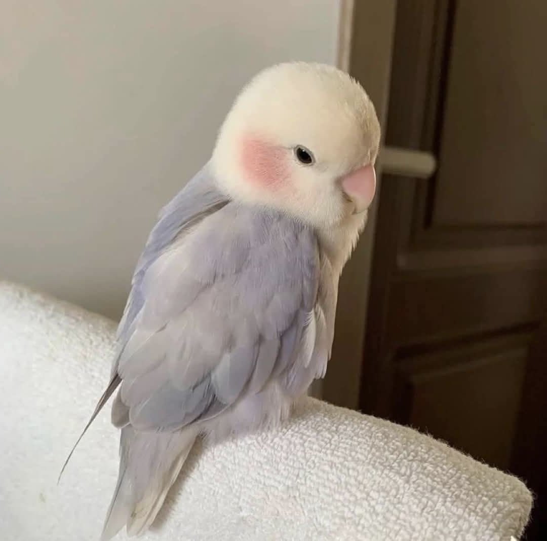 yumi 🍡 tweet media