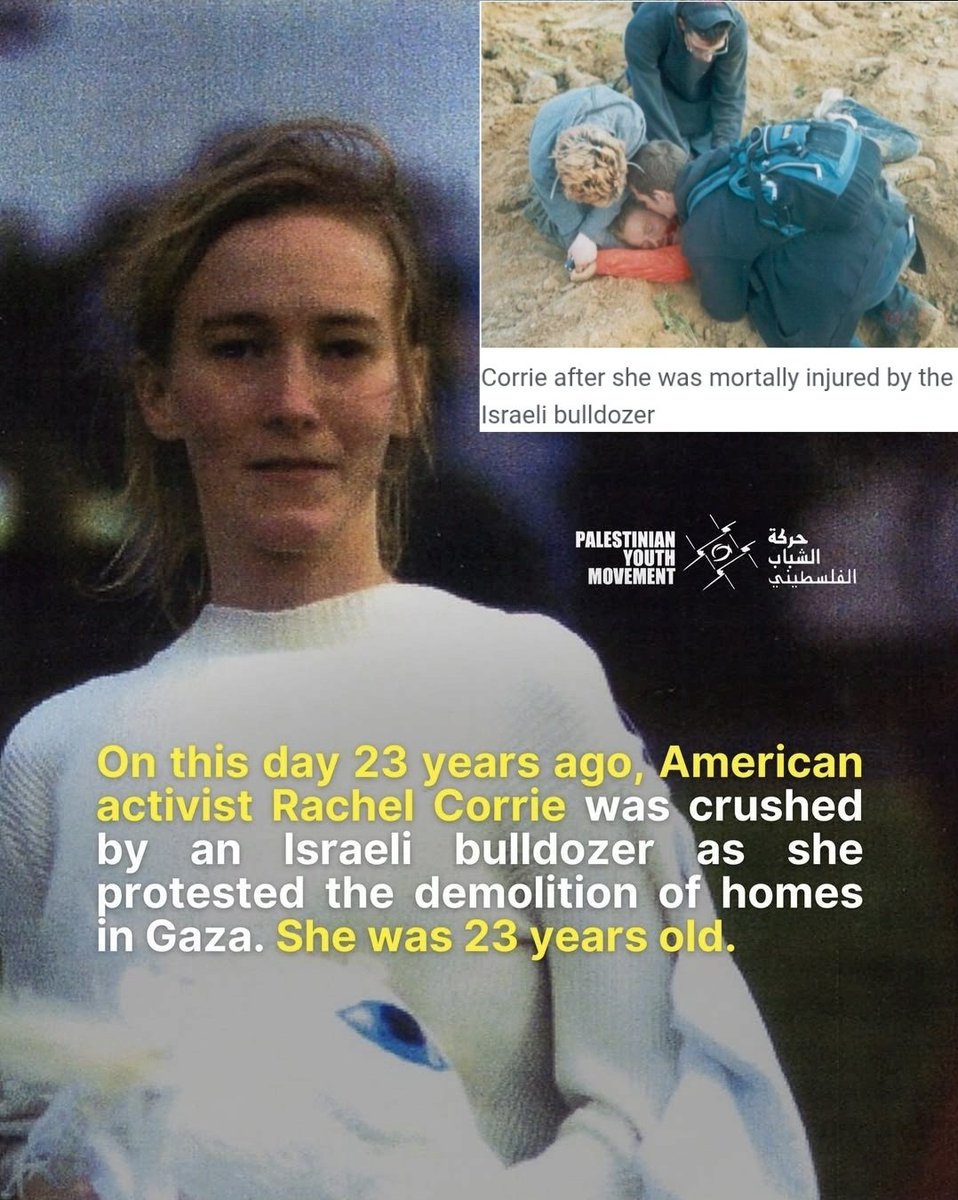 Dr Rahmeh Aladwan tweet media