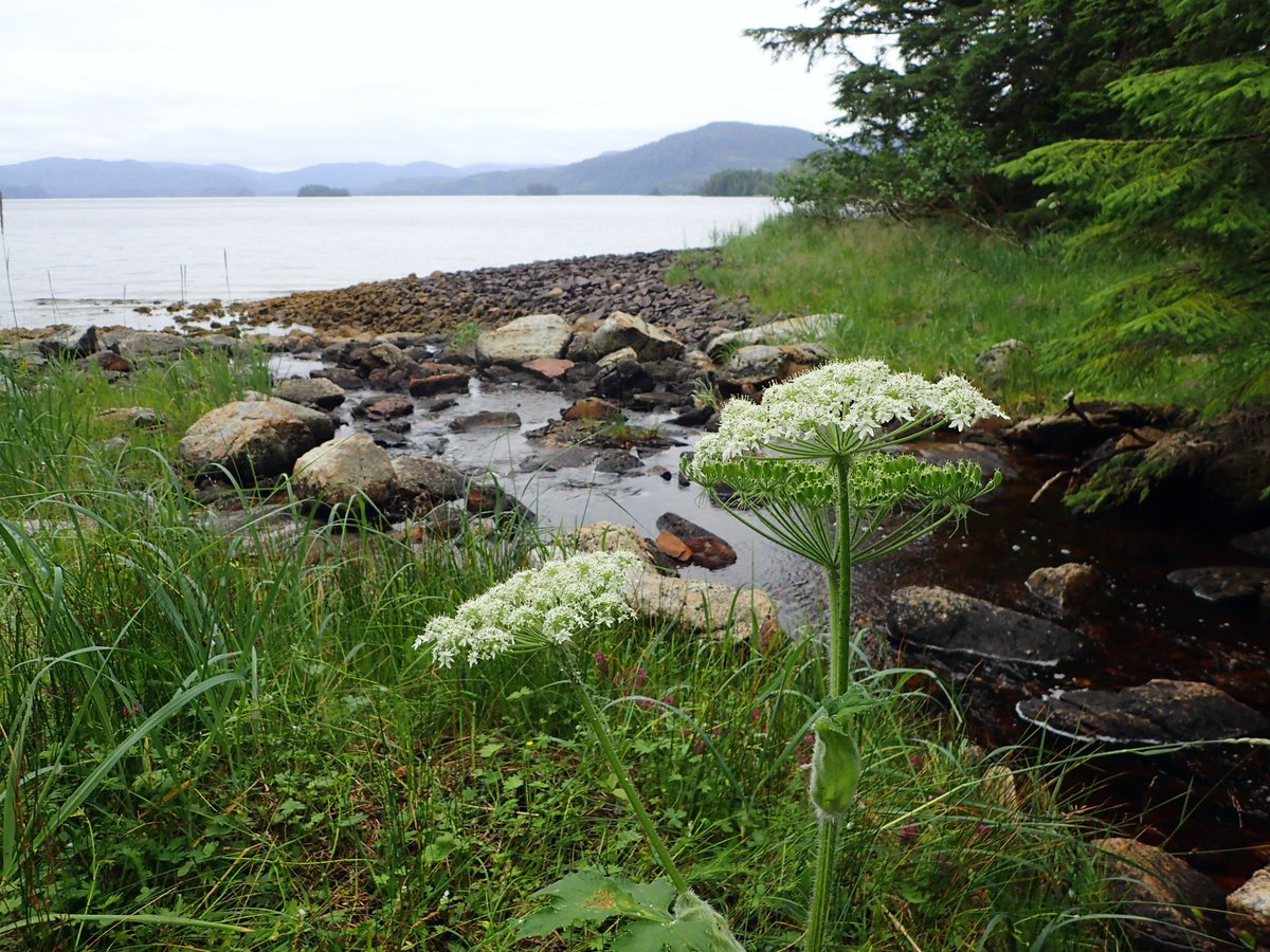 obligatory traveler tweet media