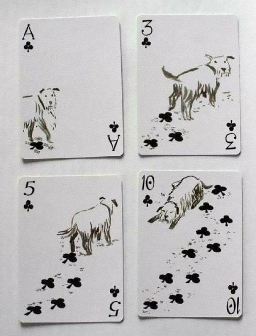 Pack of Dogs by John Littleboy