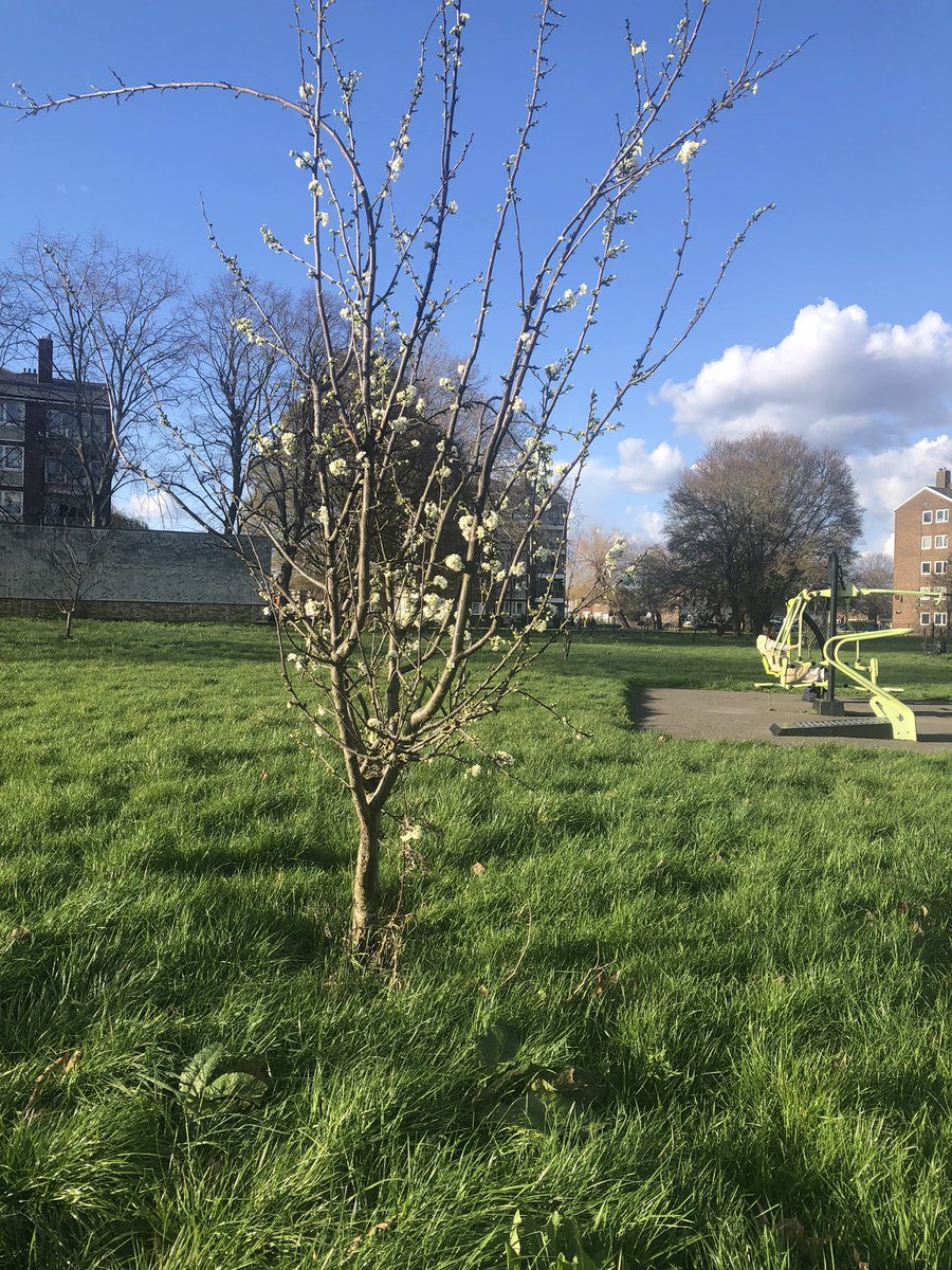 Res ipsa loquitur....AMC01 tweet media