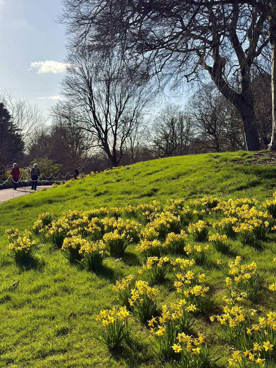 Jef Mancera tweet media