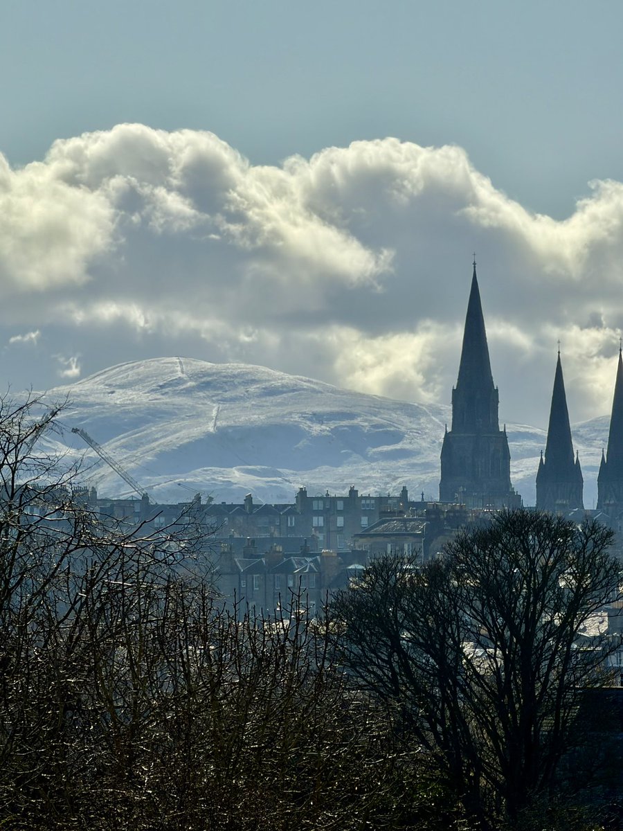 Jef Mancera tweet media