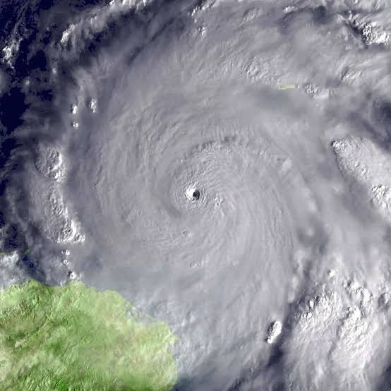 Tony Brite tweet media