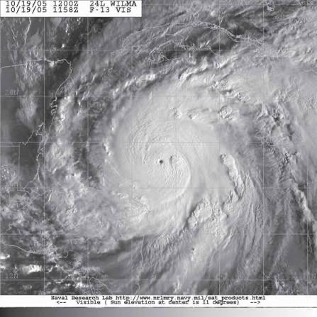 Tony Brite tweet media